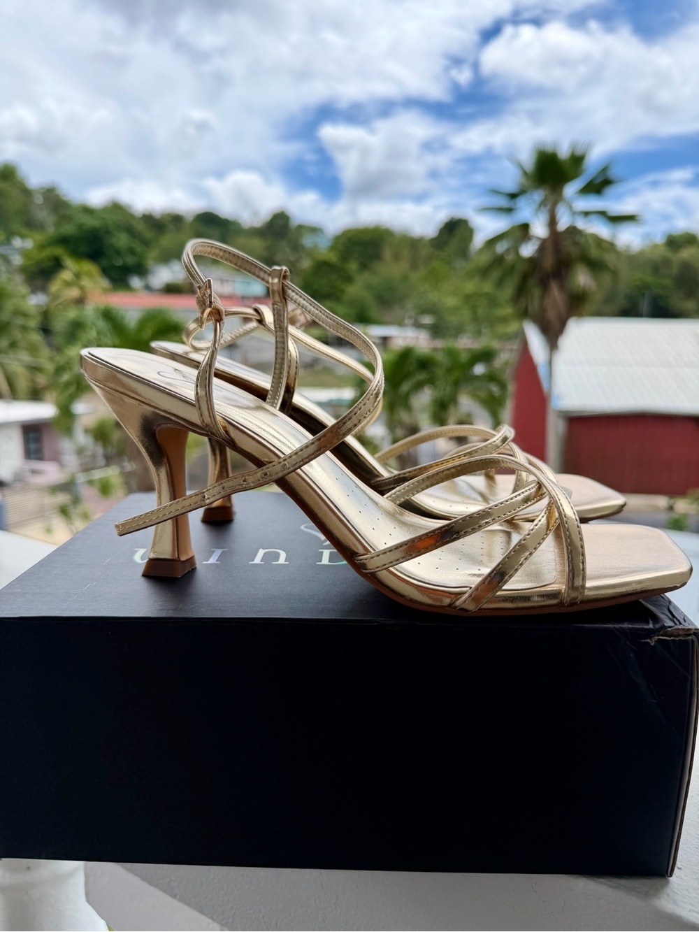 Windsor Nicolette Gold Strappy Heels – Size 9